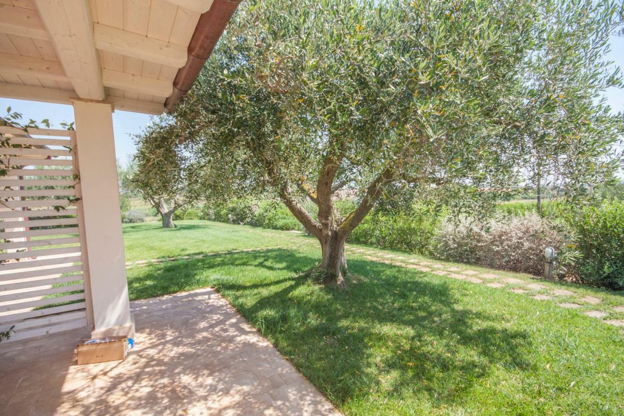 Agriturismo Il Mirto Pescia Romana Quarto foto
